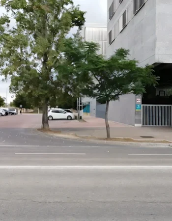 Clínica Physed