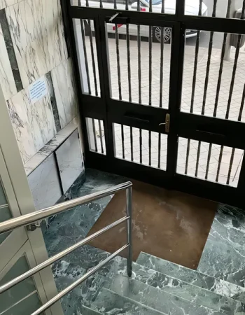 Dando Pasos Psicología