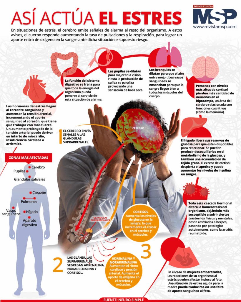 Cómo actúa el estrés en el cuerpo: comprender salud mental madrid