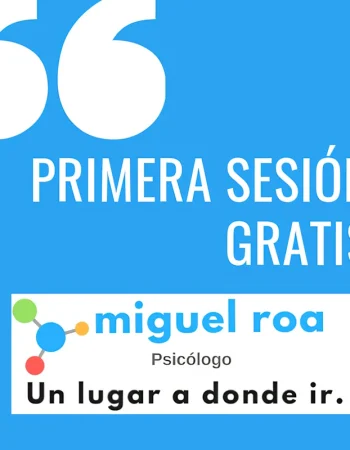 Miguel Roa Psicólogo