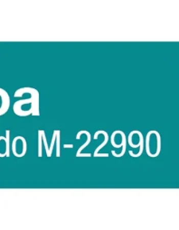Miguel Roa Psicólogo