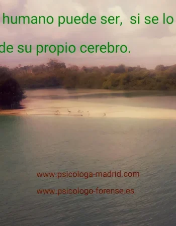 Psicóloga en Rivas Vaciamadrid Marta de la Cruz Calandria ~ Clínica y Forense