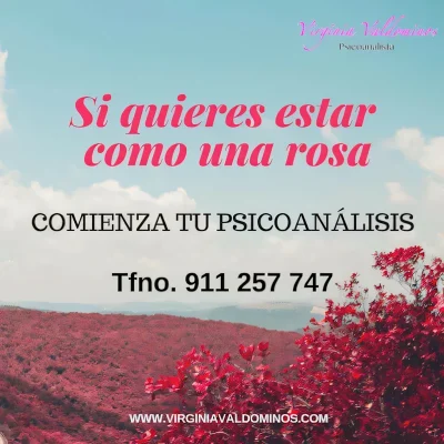 Virginia Valdominos – Psicóloga y Psicoanalista